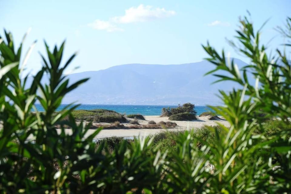 Glyfada apartment sea view Apartment in Naxos, Naxos and Lesser Cyclades, Greece