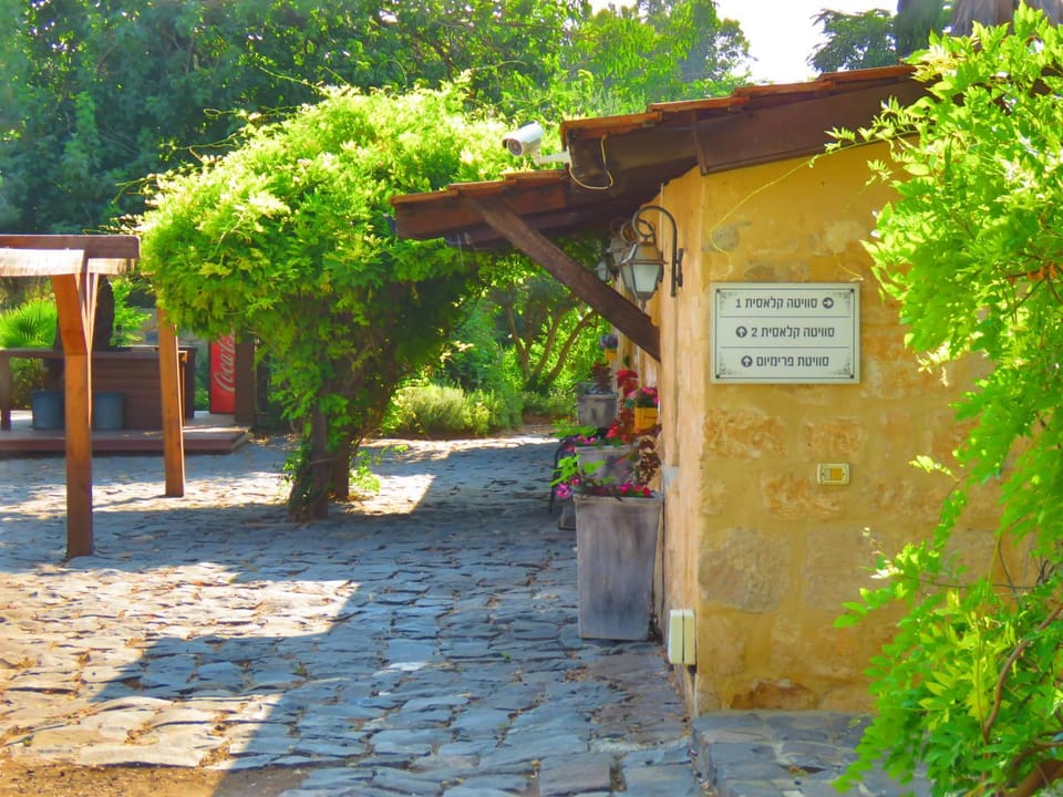 THE MANSION in yesod hamaala Nature lodge in North District