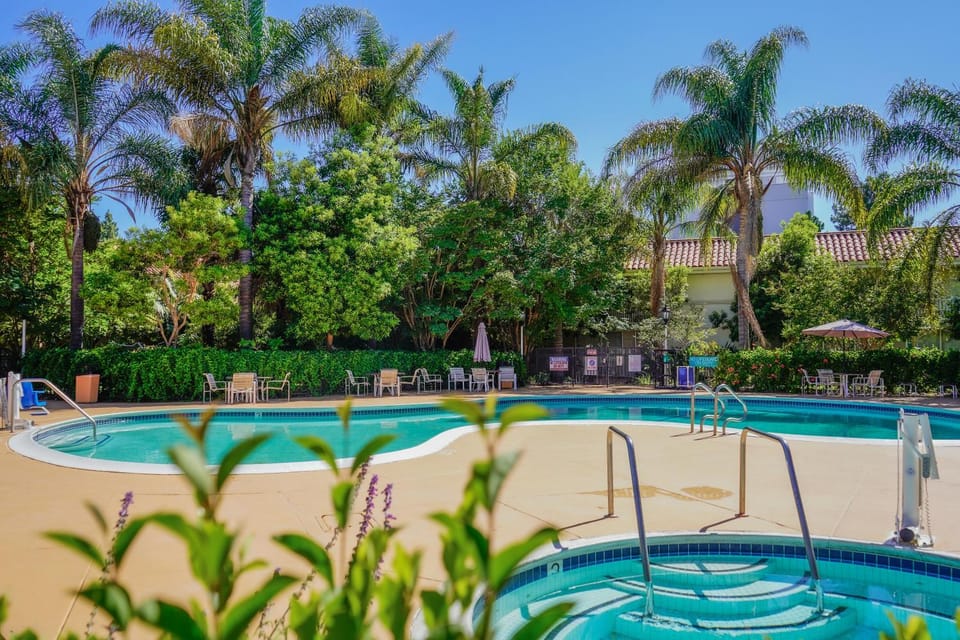Spring, Day, Natural landscape, Summer, Garden, Garden view, Pool view, Swimming pool, sunbed