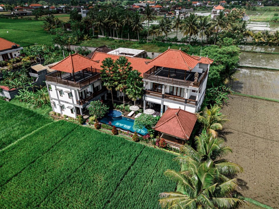 Garden, Pool view, Swimming pool