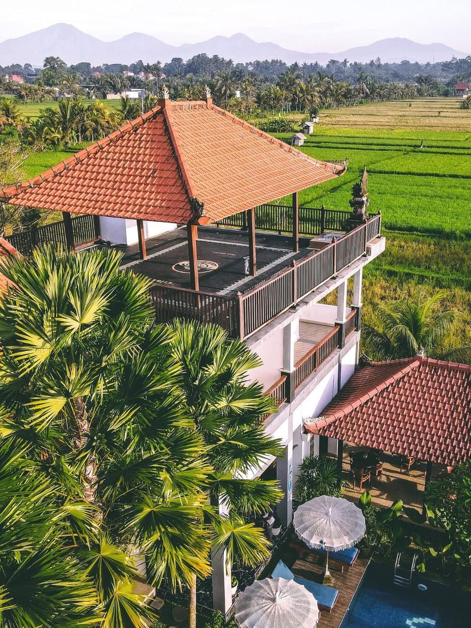 Garden, Balcony/Terrace, Pool view, Swimming pool