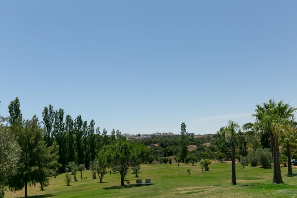 Spring, Day, Natural landscape