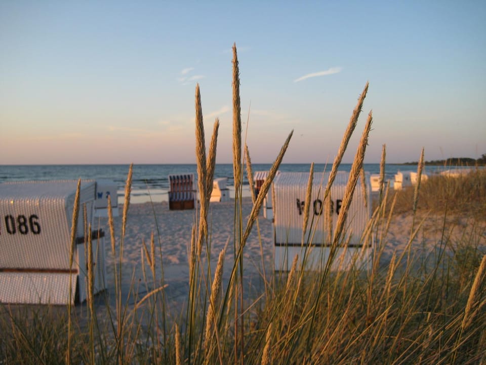 Natural landscape, Beach, Sea view, Sunrise, Sunset
