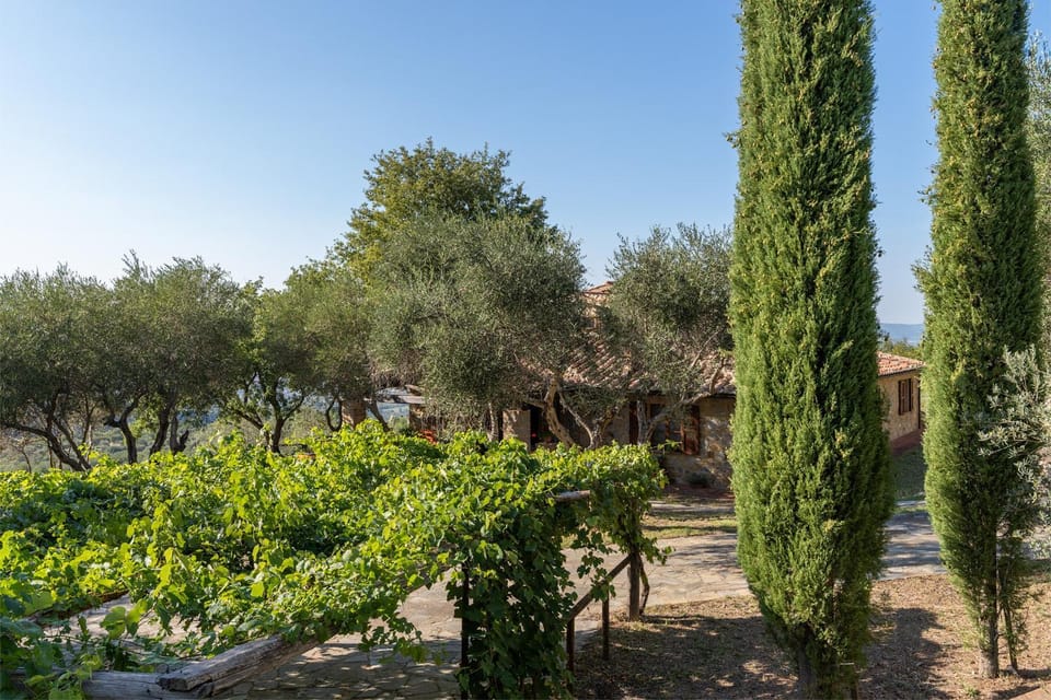 Natural landscape, Garden