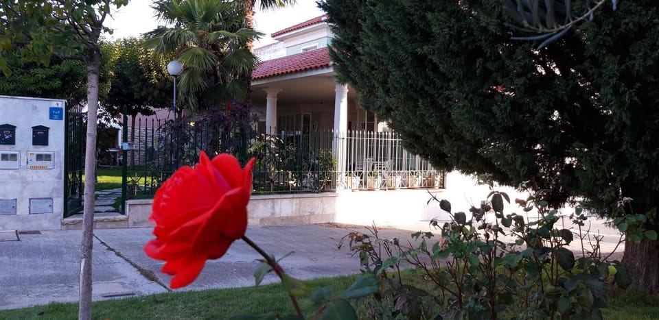 El olivo House in Castile and León