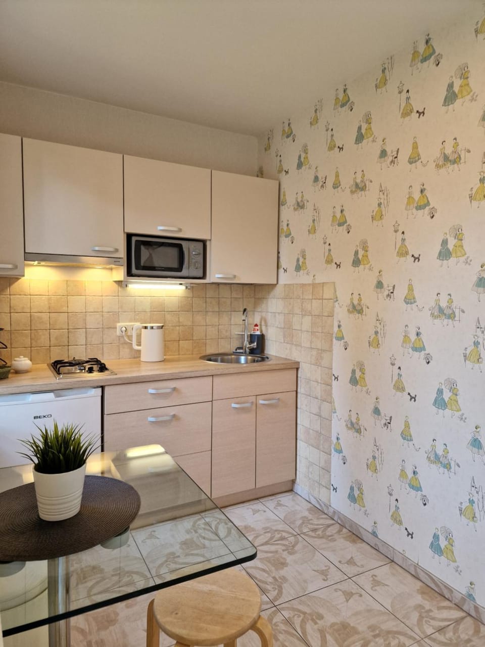 Kitchen or kitchenette, minibar, stove