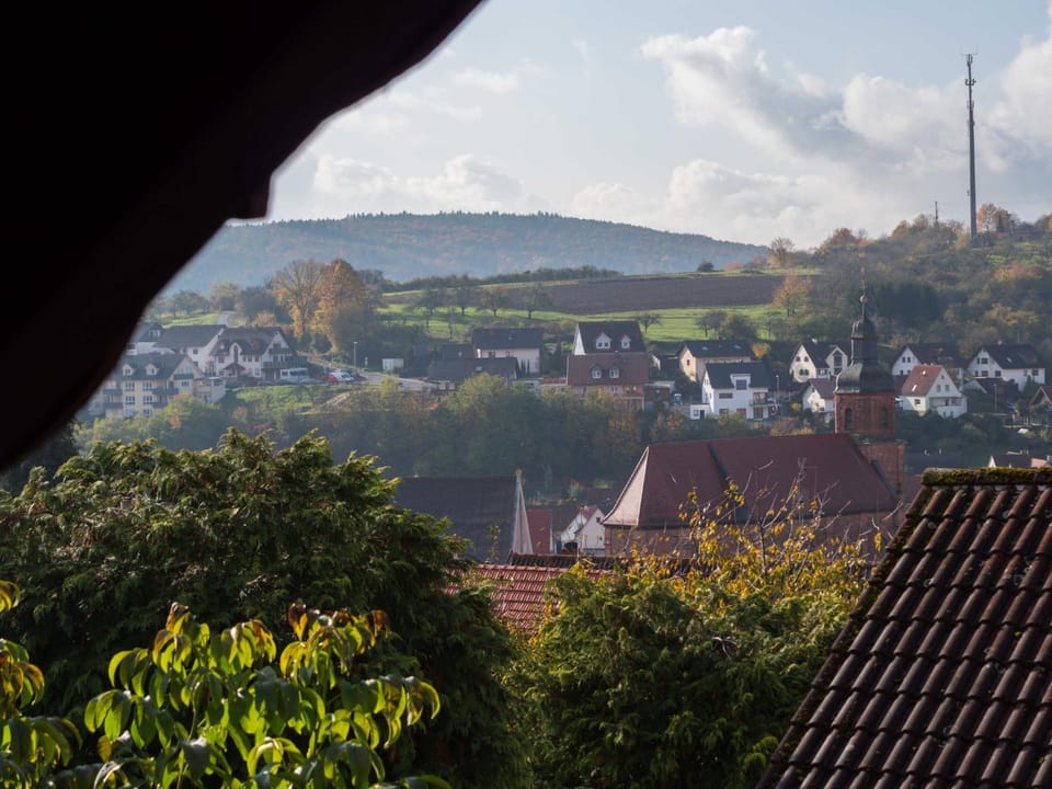 View (from property/room)