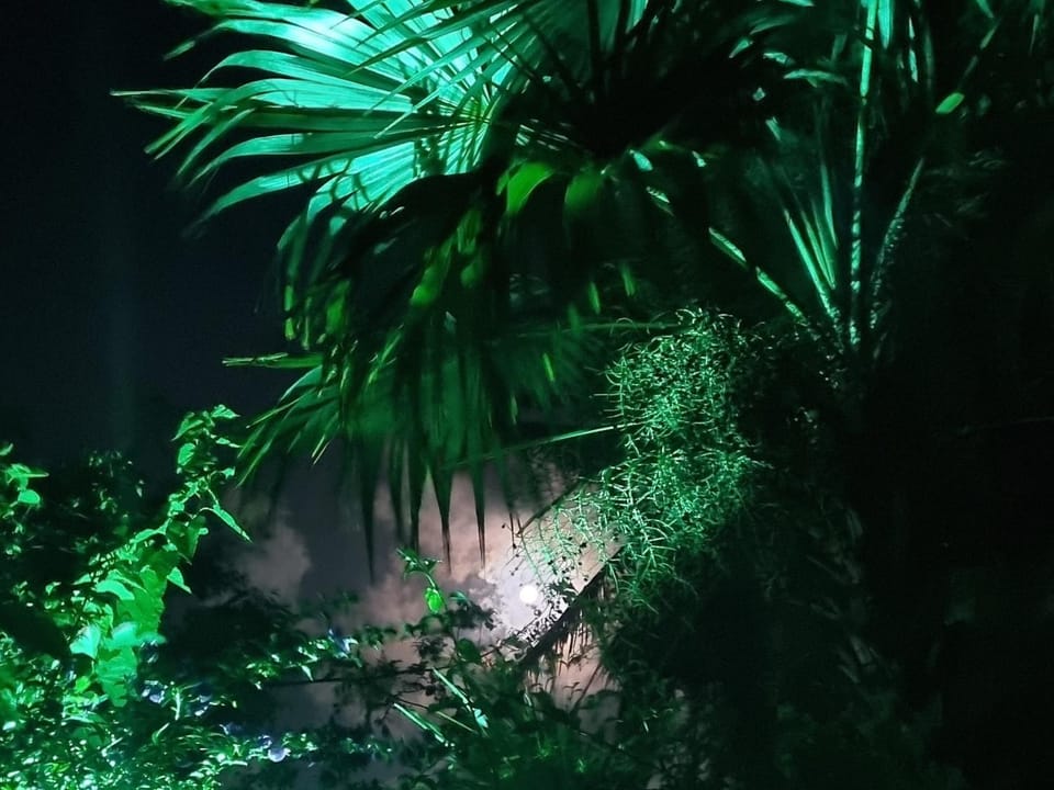Night, Garden