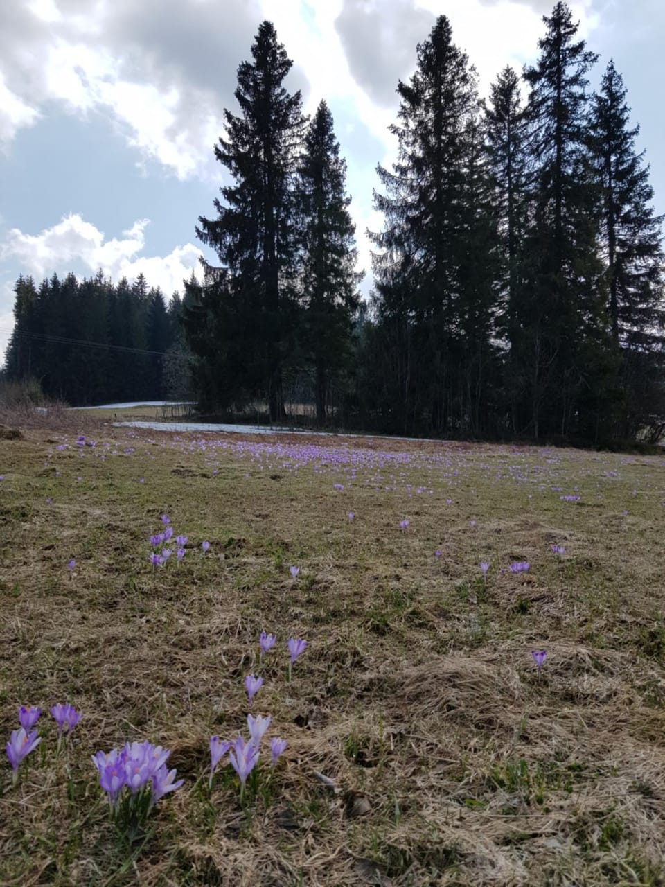 Willa Śmiechówka Vacation rental in Lesser Poland Voivodeship