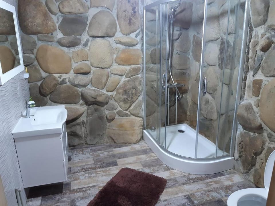 Дикий Зруб Apartment in Ukraine