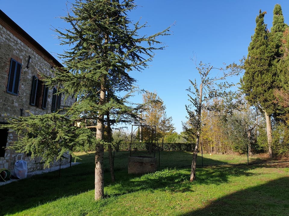 Podere il Poggio House in Tuscany