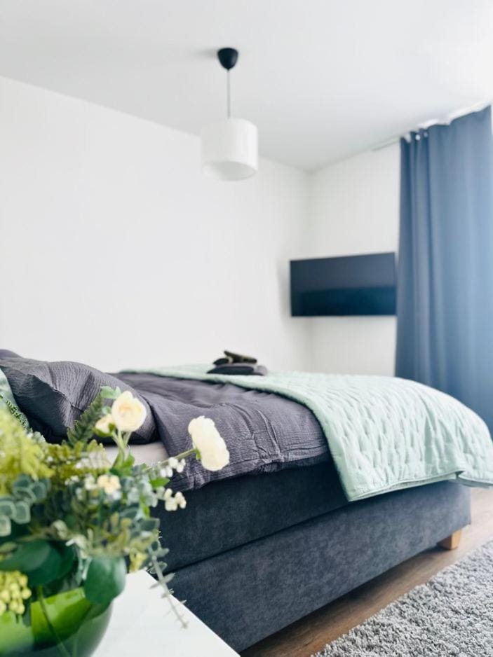 Bed, TV and multimedia, Bedroom