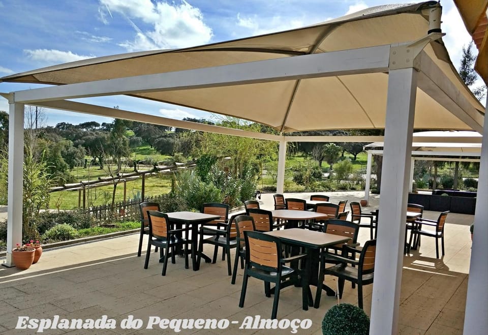 Patio, Off site, Garden, Balcony/Terrace