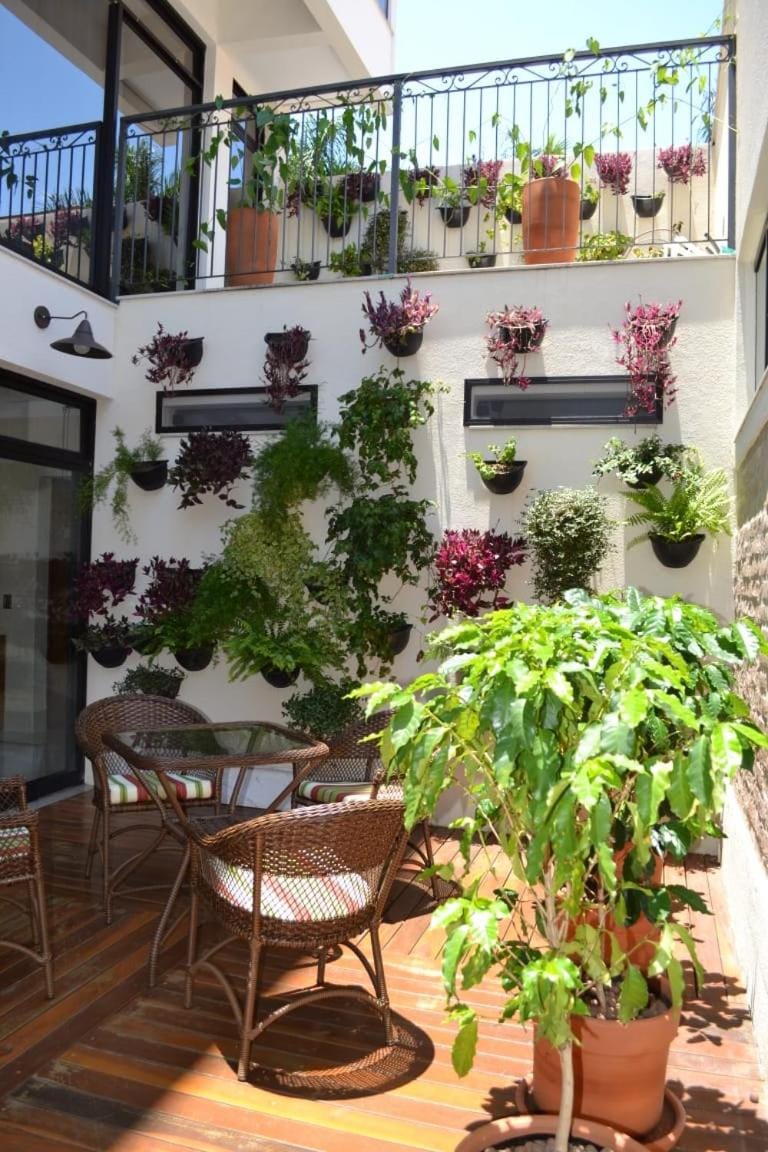 Patio, Garden