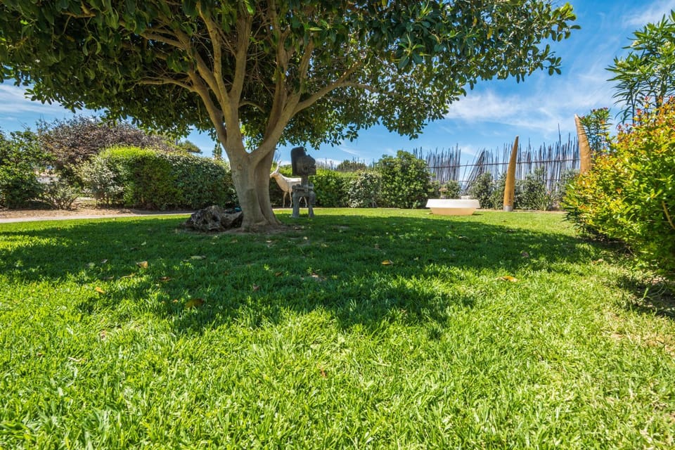 Natural landscape, Garden