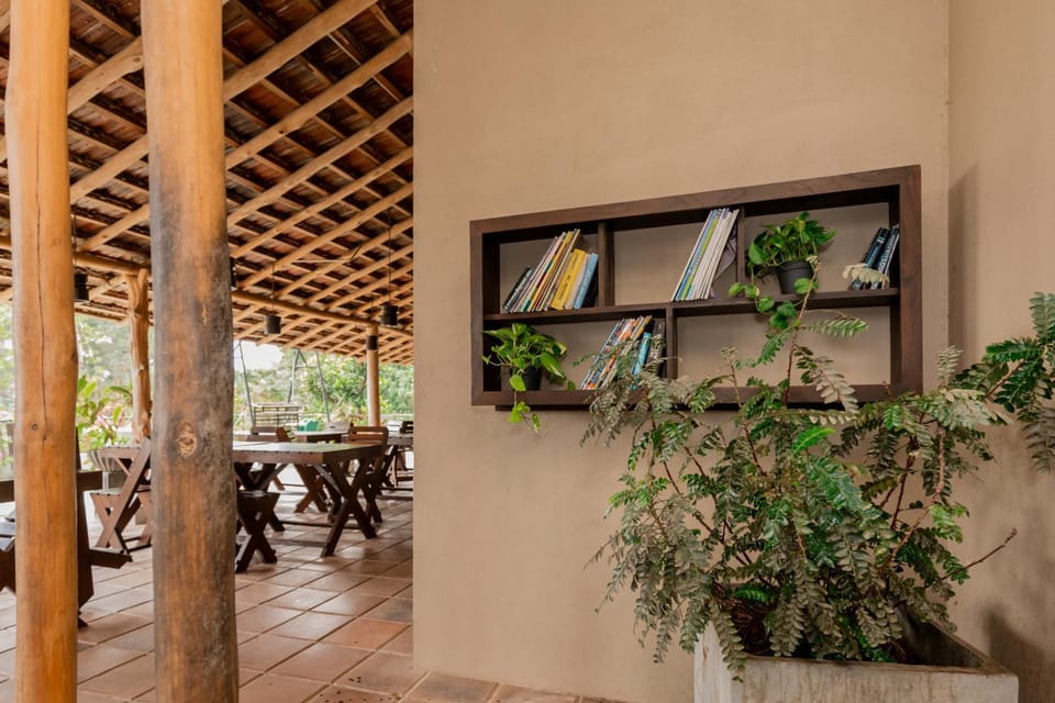 Patio, Restaurant/places to eat, Day