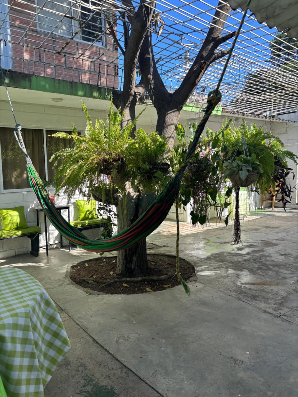 Patio