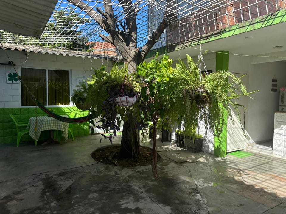 Patio, Garden, Garden view