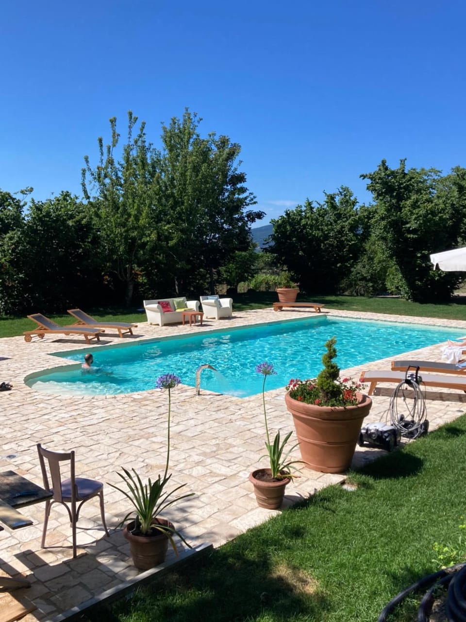 Garden, Garden view, Swimming pool, sunbed