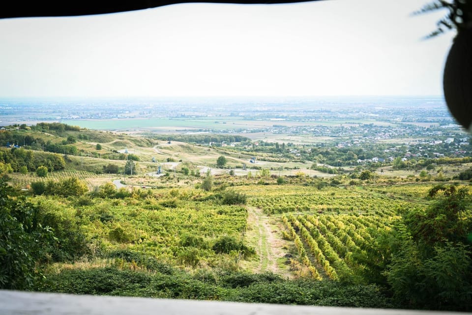 Natural landscape