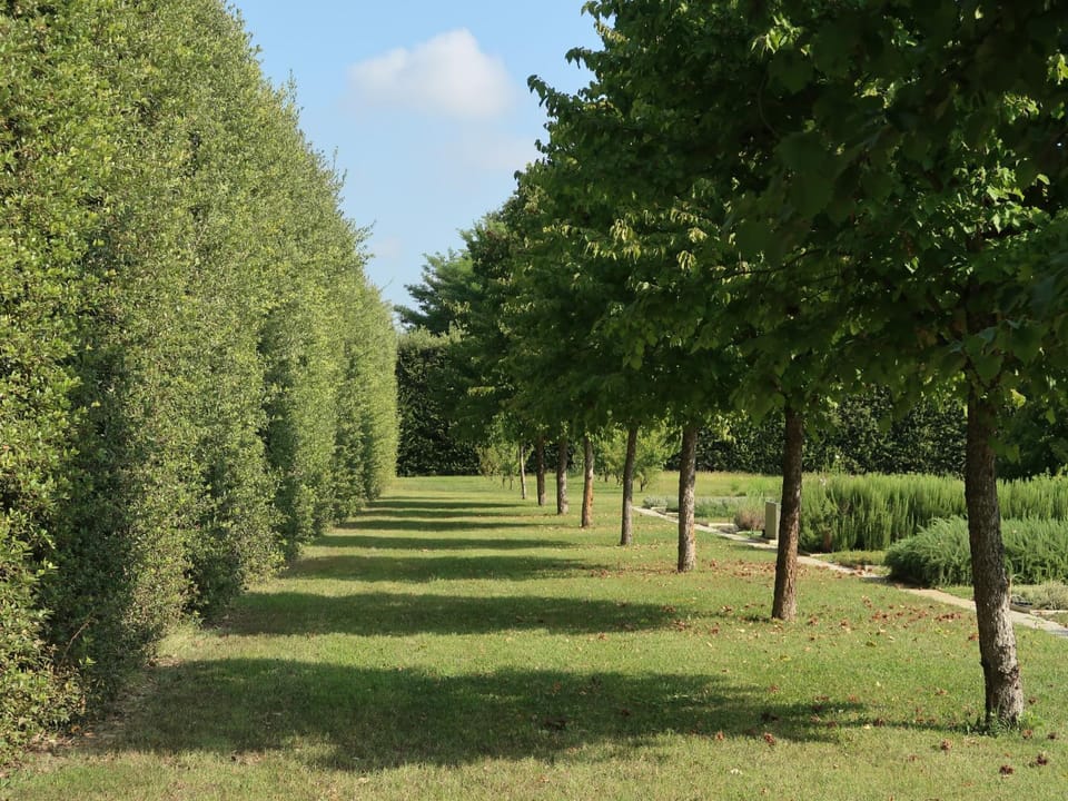 Garden view