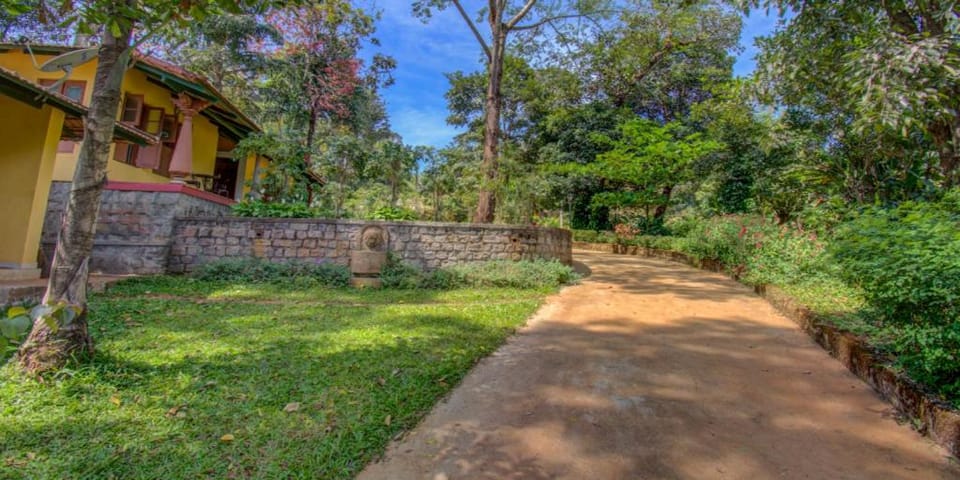 Natural landscape, Garden