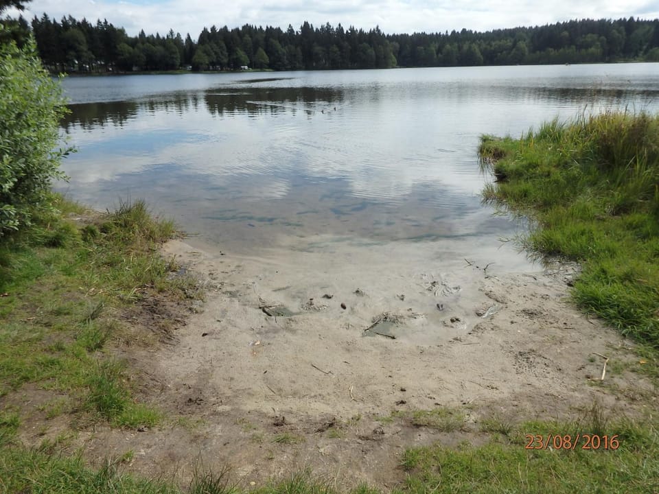 Natural landscape, Beach, Lake view
