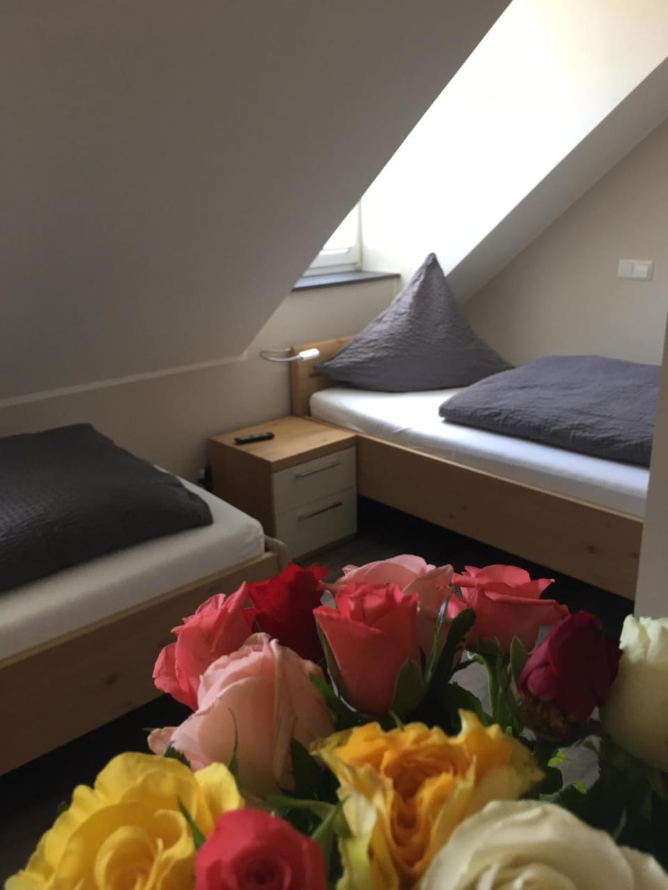 Haus am Parc Hotel in Lower Saxony, Germany