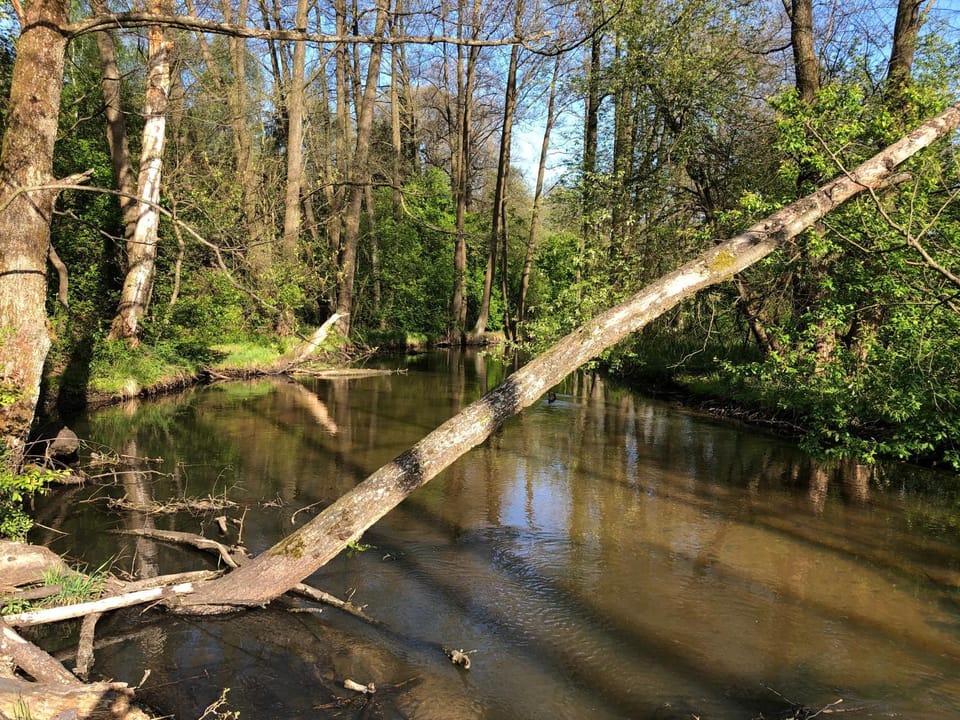 Natural landscape, River view