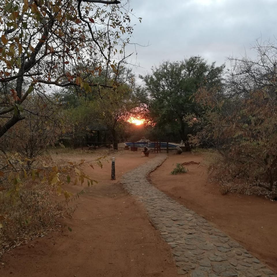 Sunrise