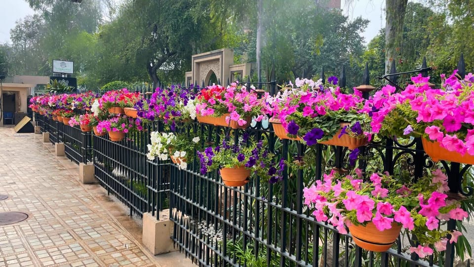 Property building, Spring, Garden
