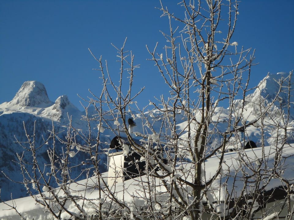 Natural landscape, Winter, Mountain view