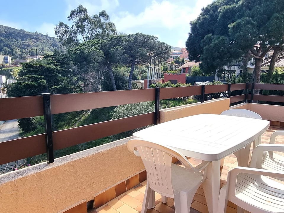Port-Vendres : T2 avec terrasse et parking - FR-1-309-215 Apartment in Port-Vendres