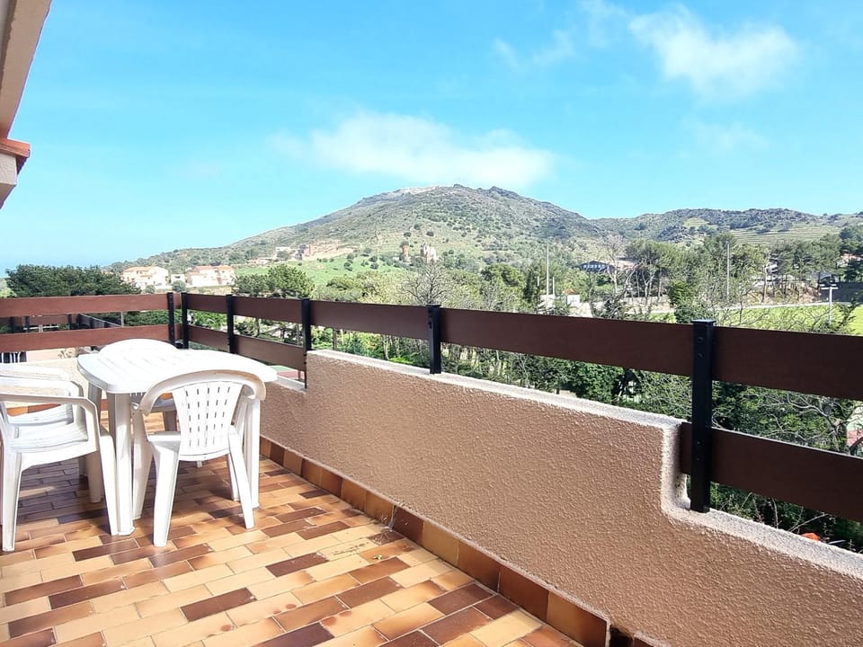Port-Vendres : T2 avec terrasse et parking - FR-1-309-215 Apartment in Port-Vendres