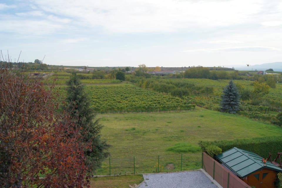 Garden, View (from property/room)