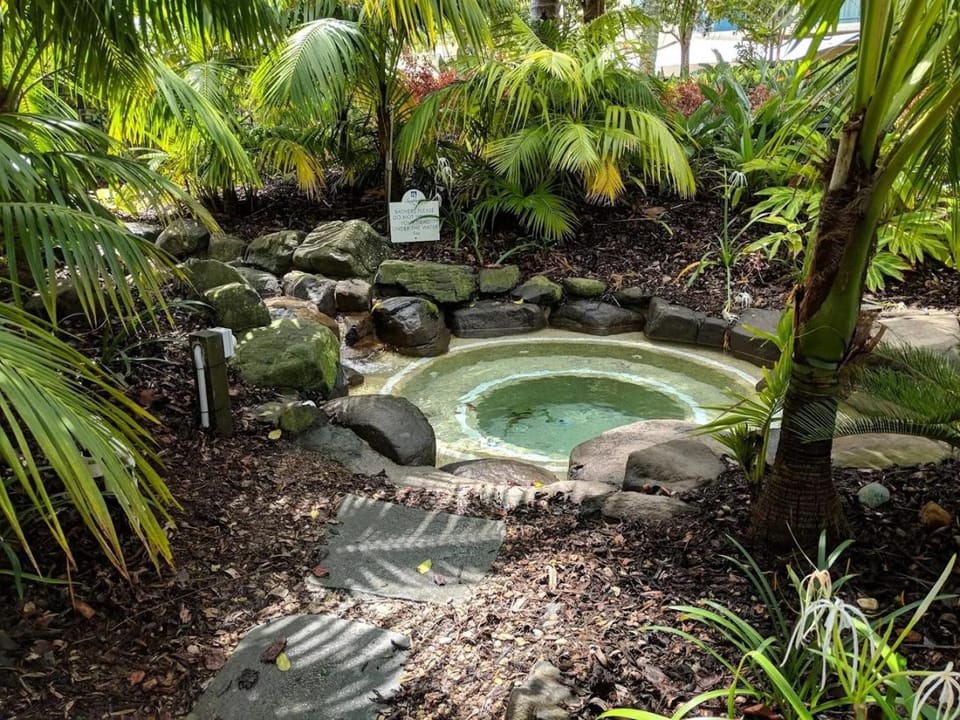 Garden, Garden view, Swimming pool