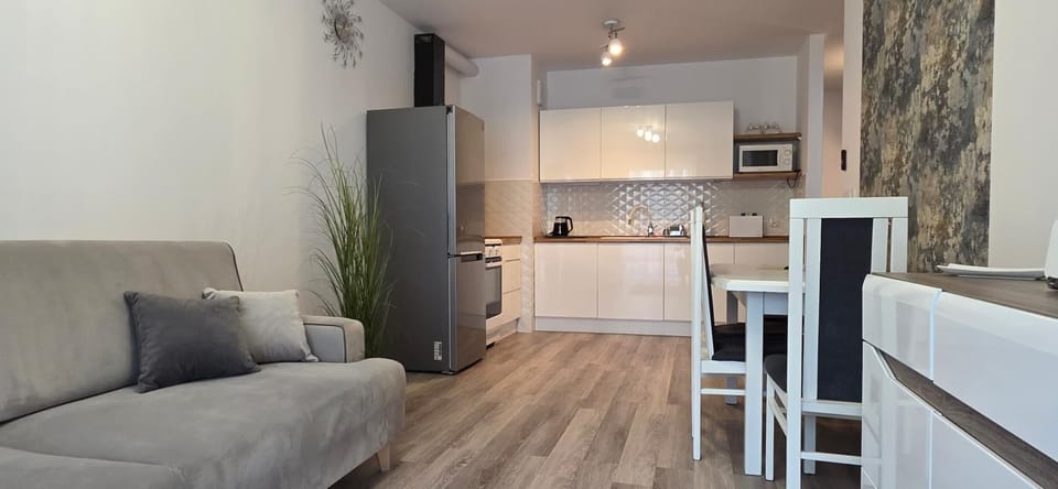 Kitchen or kitchenette, Living room, Dining area, oven, stove