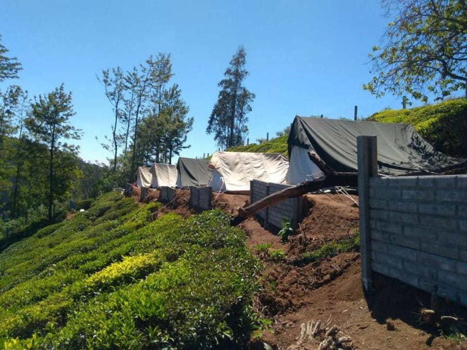 Property building, Other