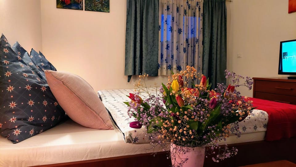 Bed, TV and multimedia, Photo of the whole room, Bedroom