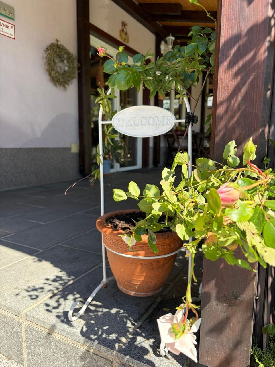 Patio, Day, Garden
