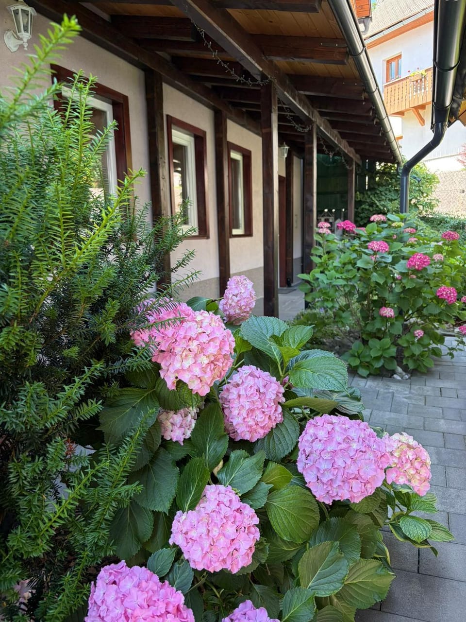 Rooms Ravnik Bed and Breakfast in Bled