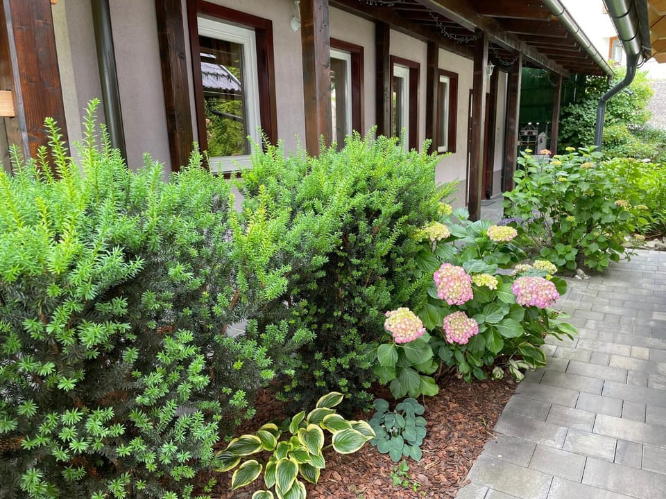 Rooms Ravnik Bed and Breakfast in Bled