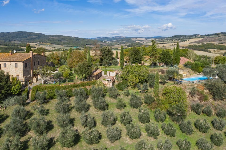 Neighbourhood, Bird's eye view