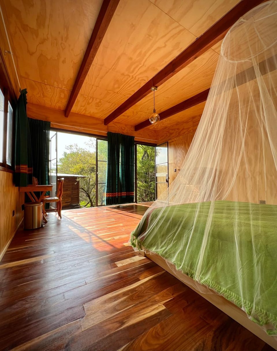 Photo of the whole room, Seating area, Garden view