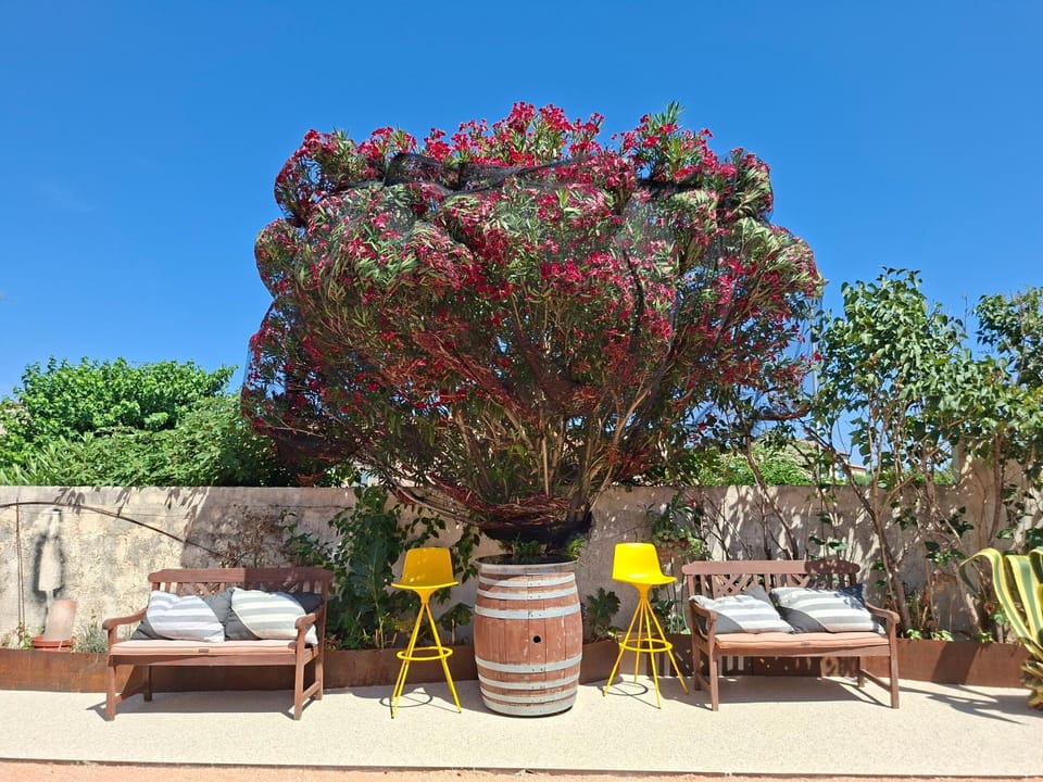 La Milhaud Villa in Nimes