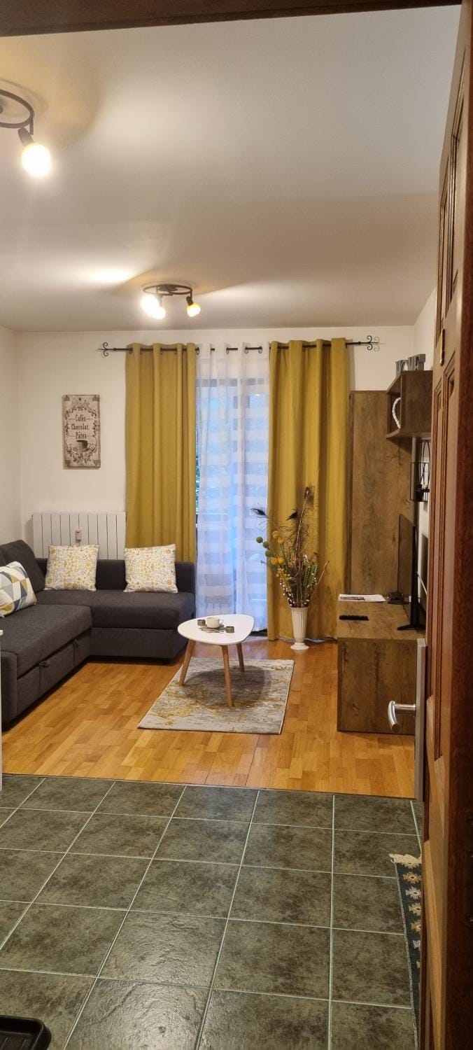 Emma apartament Apartment in Sinaia