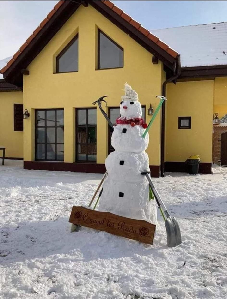 Conacul lui Radu Villa in Brașov County
