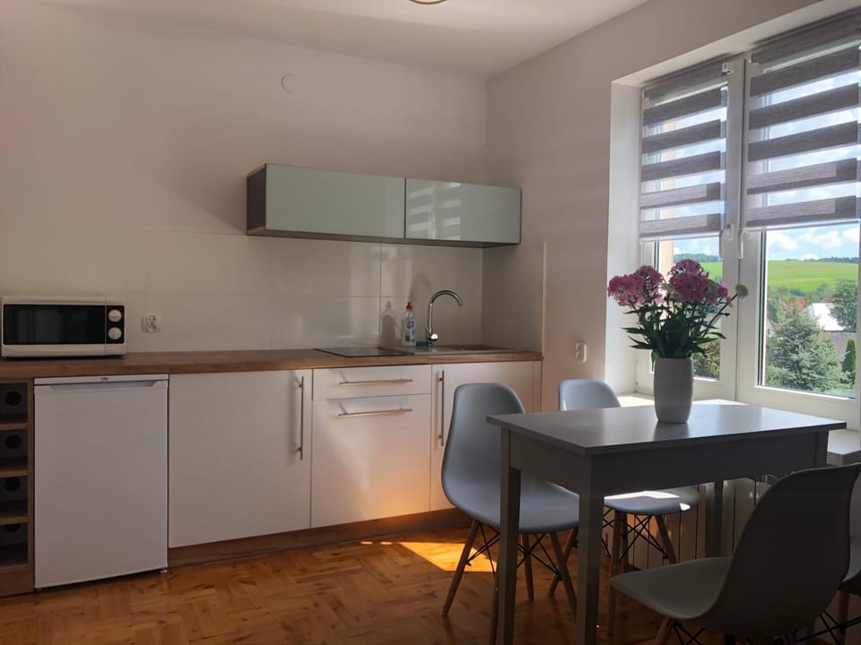 Apartament Łapacz Snów Vacation rental in Lesser Poland Voivodeship