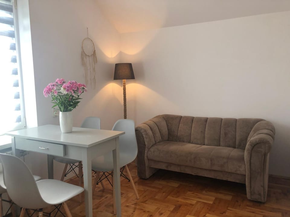 Apartament Łapacz Snów Vacation rental in Lesser Poland Voivodeship
