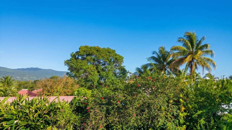 Appartement confortable à Lamentin 30 m² avec vue montagne Apartment in Leeward Islands